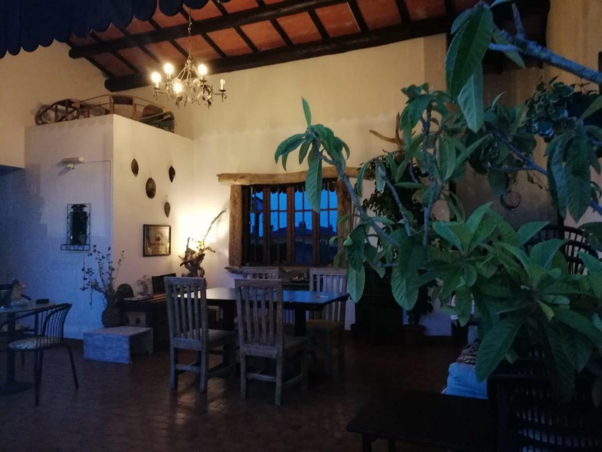 Terrazze Dell'Artista Bed and Breakfast Saletto Eksteriør billede